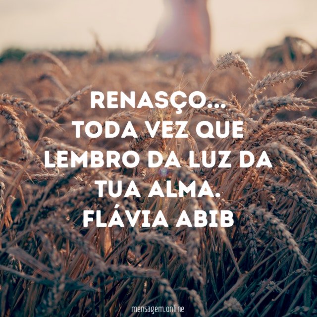 Renasço… toda vez que lembro da luz da tua alma.