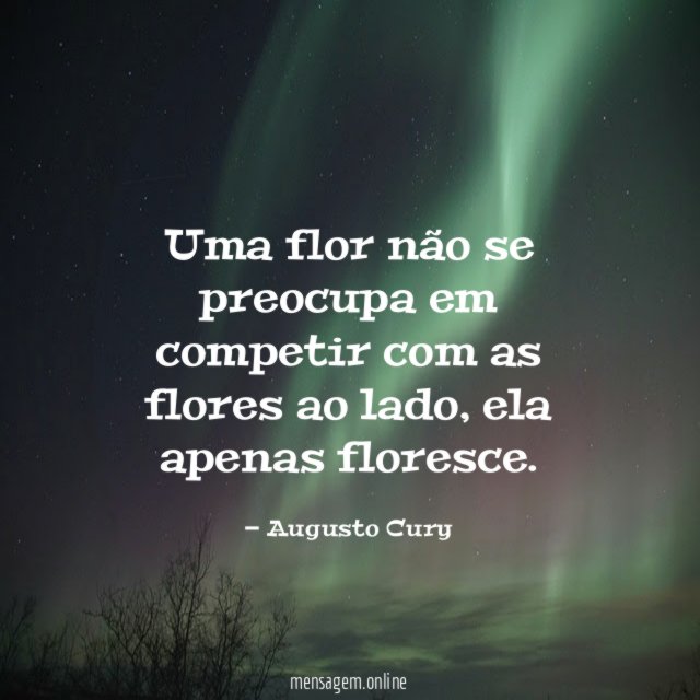 Uma flor não se preocupa em competir com