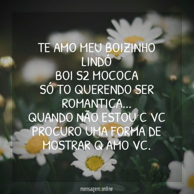 TE AMO MEU BOIZINHO LINDÓ