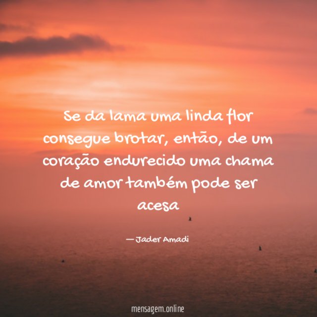 Se da lama uma linda flor consegue brotar