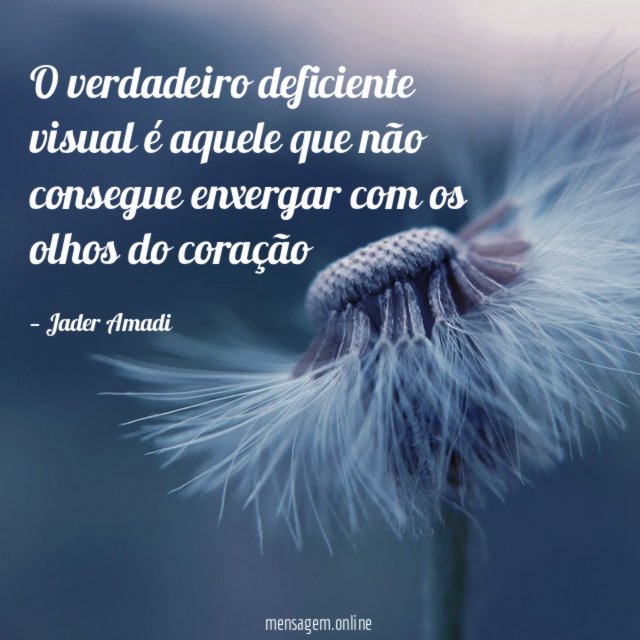 O verdadeiro deficiente visual é aquele que não