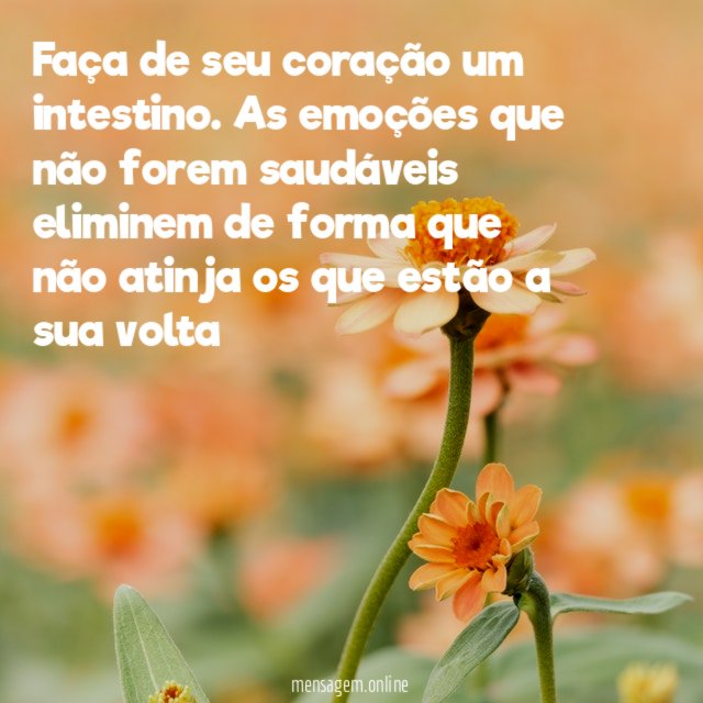 Faça de seu coração um intestino