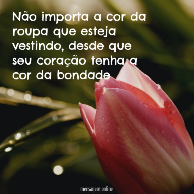 Não importa a cor da roupa que esteja vestindo