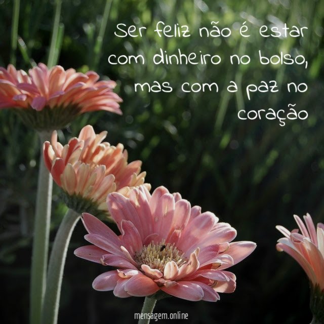 Ser feliz não é estar com dinheiro no bolso