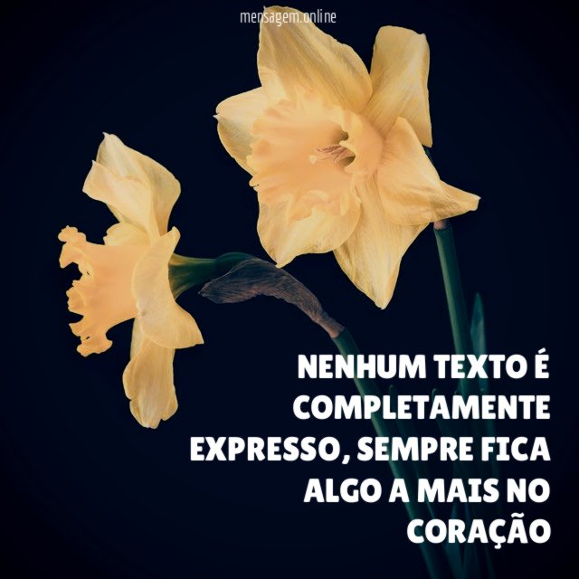 NENHUM TEXTO É COMPLETAMENTE EXPRESSO
