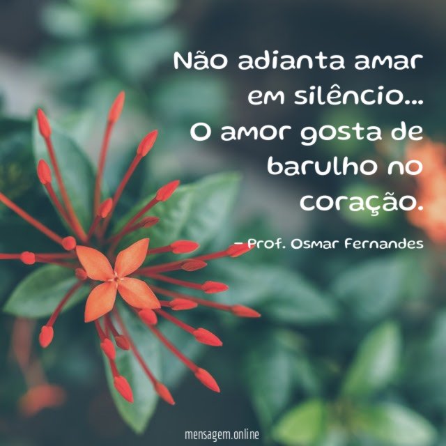 Não adianta amar em silêncio