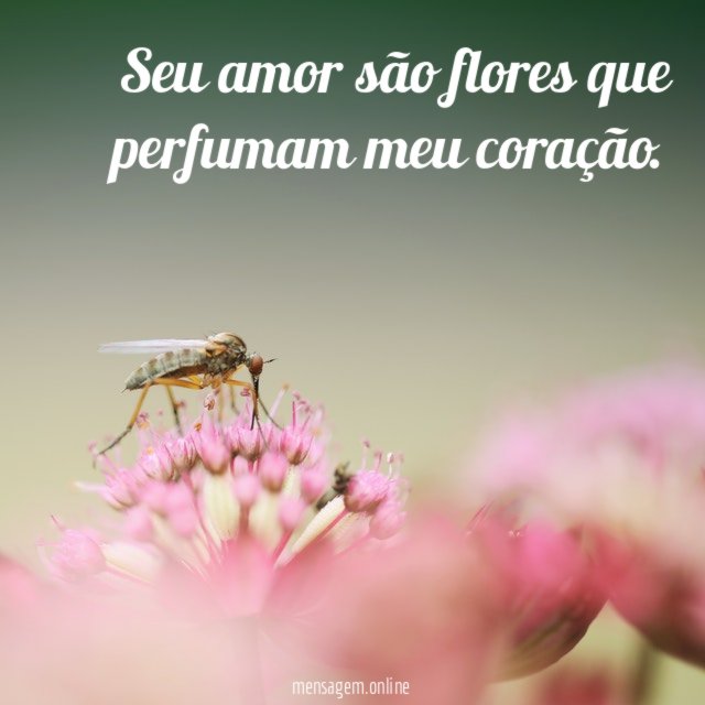 Seu amor são flores que perfumam meu coração