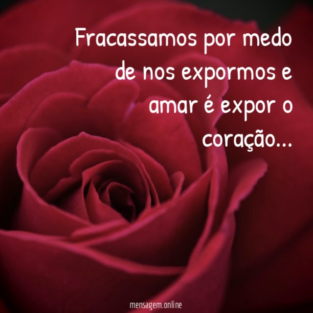 Fracassamos por medo de nos expormos e amar é expor o coração