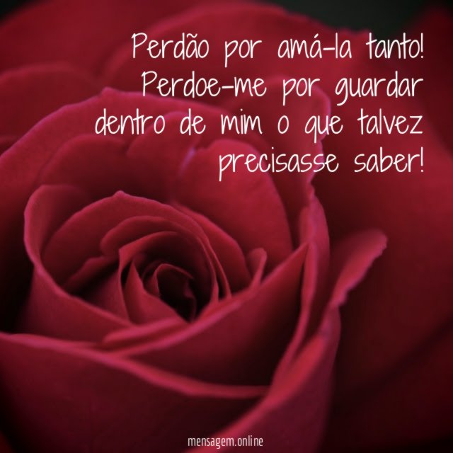 Perdão por amá-la tanto