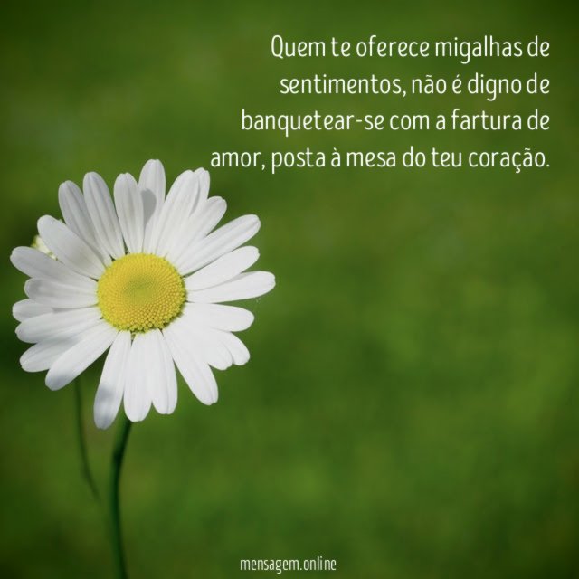 Quem te oferece migalhas de sentimentos