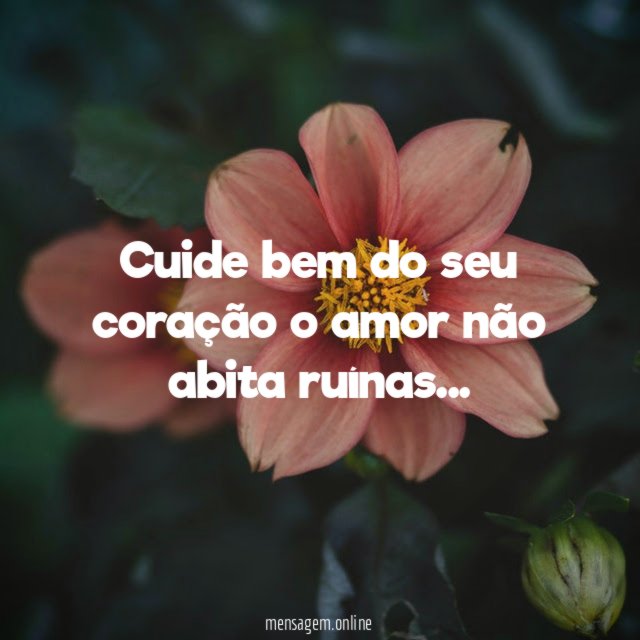 Cuide bem do seu coração o amor não