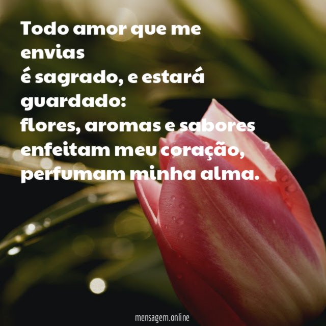 Todo amor que me envias é sagrado