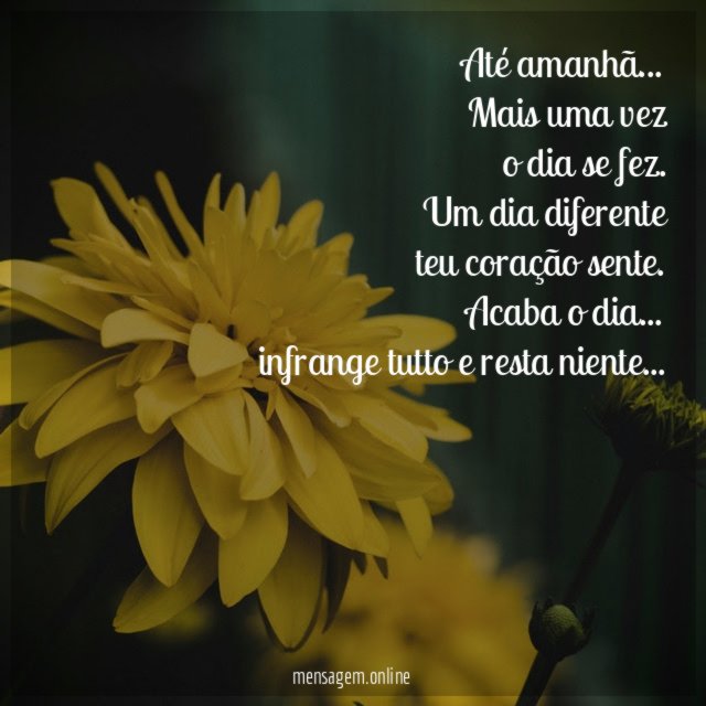 Até amanhã