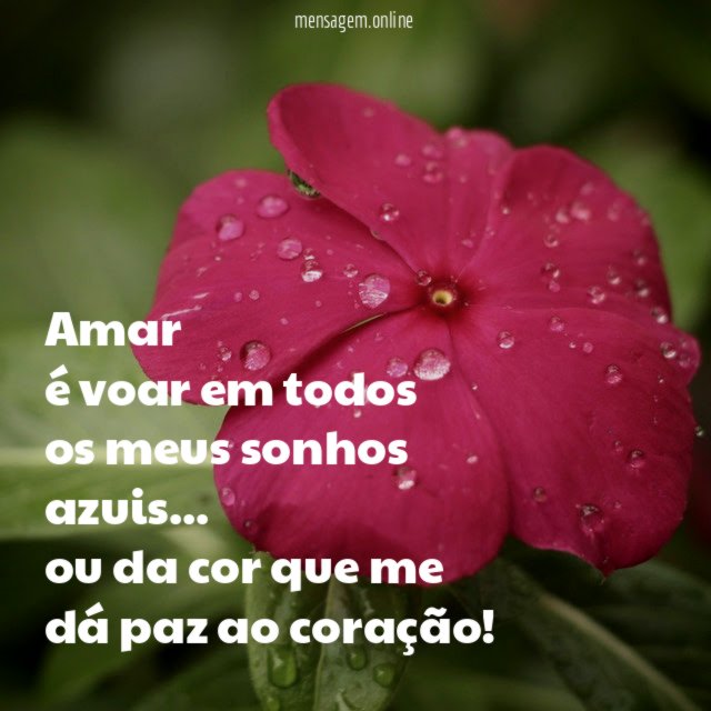 Amar é voar em todos os meus sonhos azuis