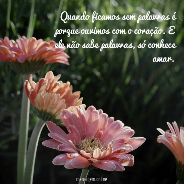 Quando ficamos sem palavras é porque ouvimos com o coração