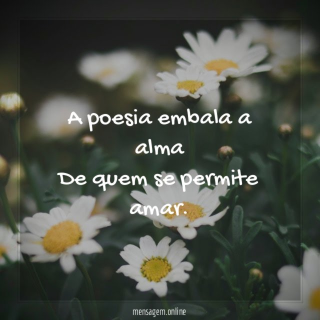 A poesia embala a alma De quem se permite amar