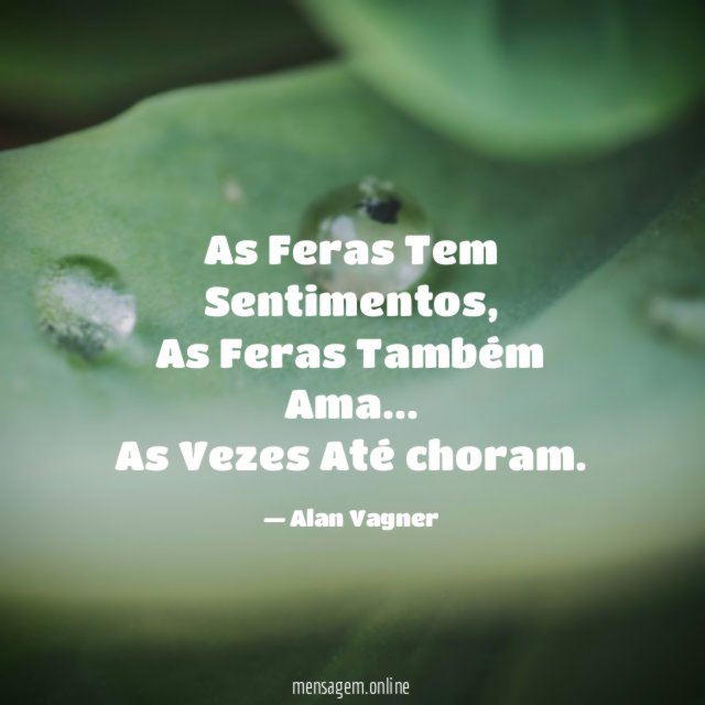 As Feras Tem Sentimentos