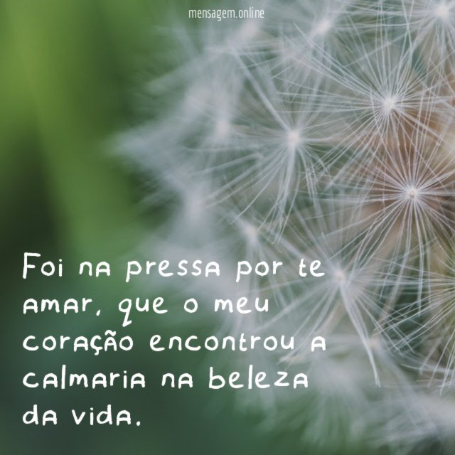 Foi na pressa por te amar