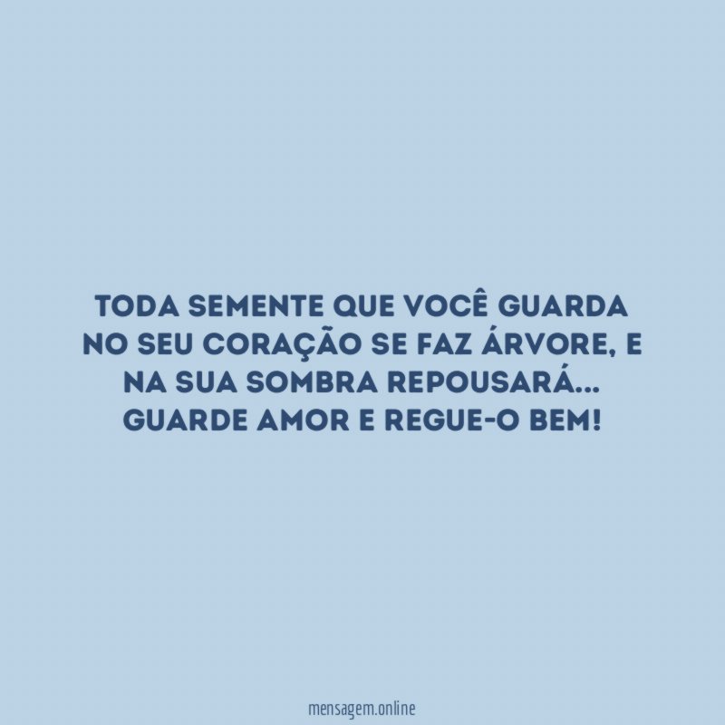 Toda semente que você guarda no seu coração se faz árvore