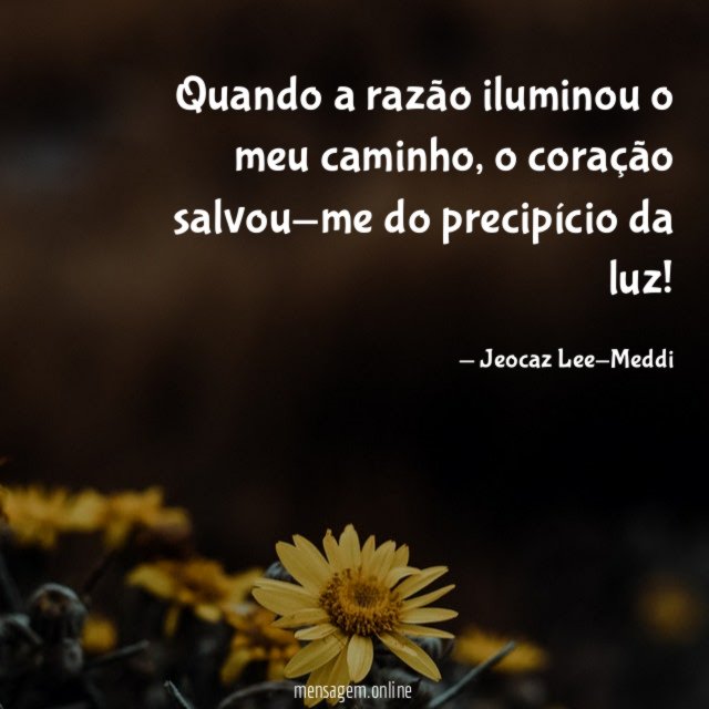 Quando a razão iluminou o meu caminho