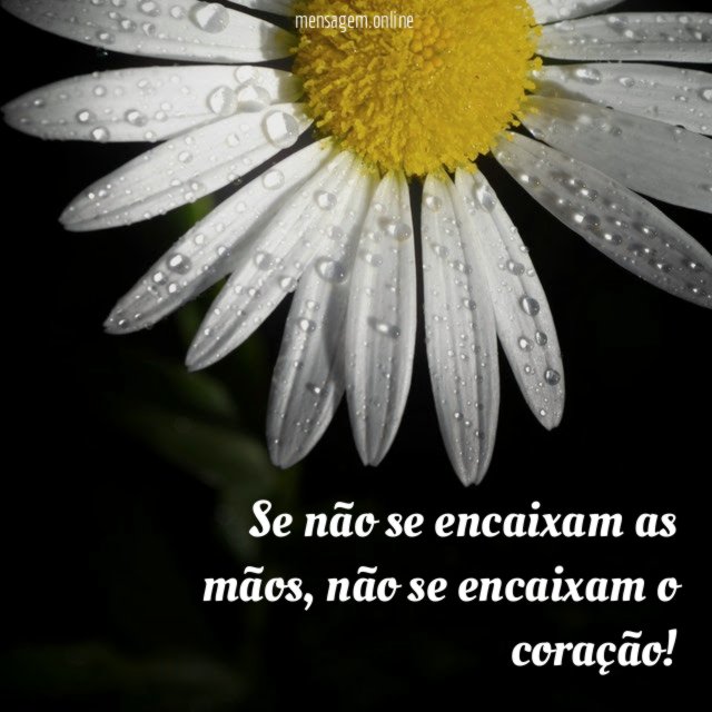 Se não se encaixam as mãos