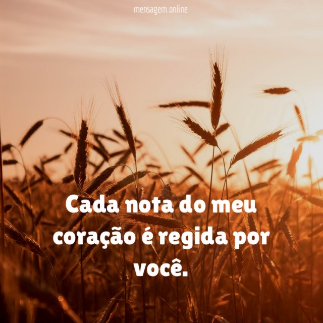 Cada nota do meu coração é regida por você
