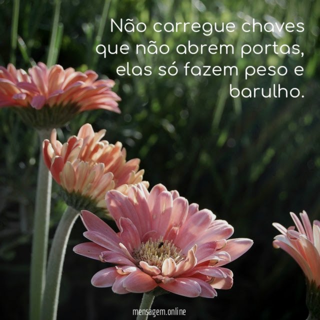 Não carregue chaves que não abrem portas