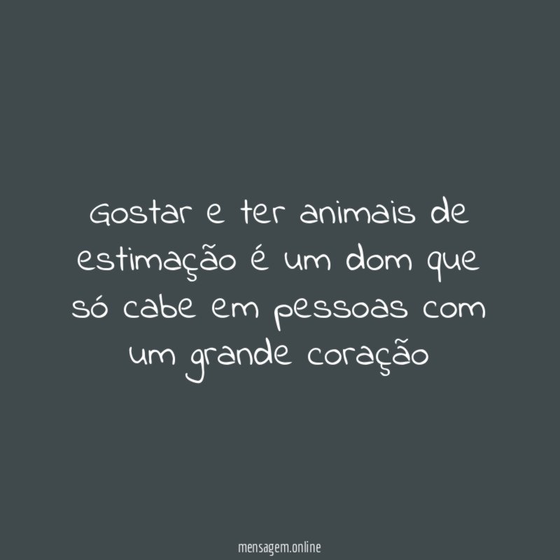 Gostar e ter animais de estimação é um