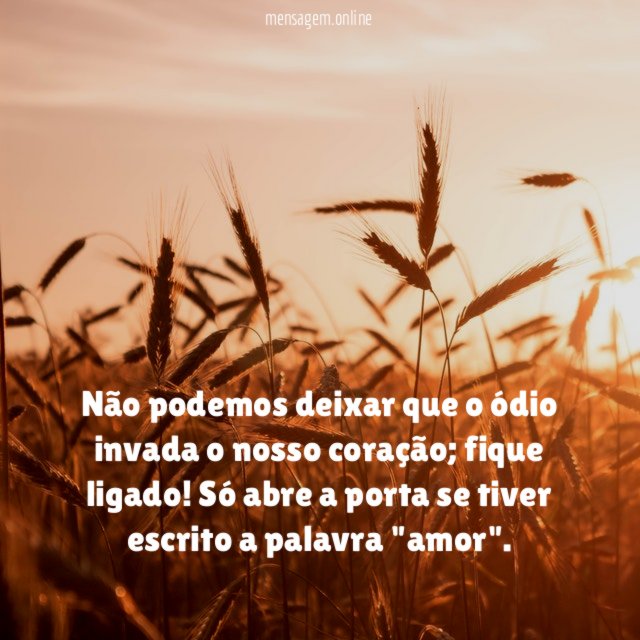 Não podemos deixar que o ódio invada o nosso coração