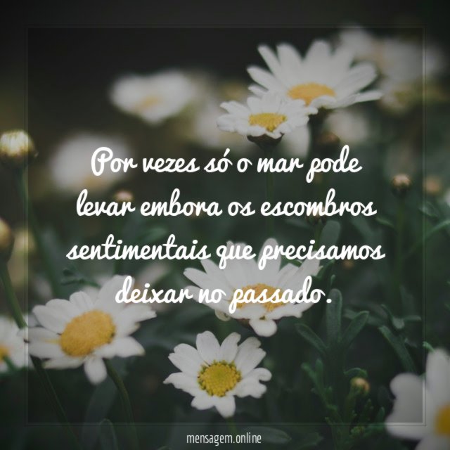 Por vezes só o mar pode levar embora