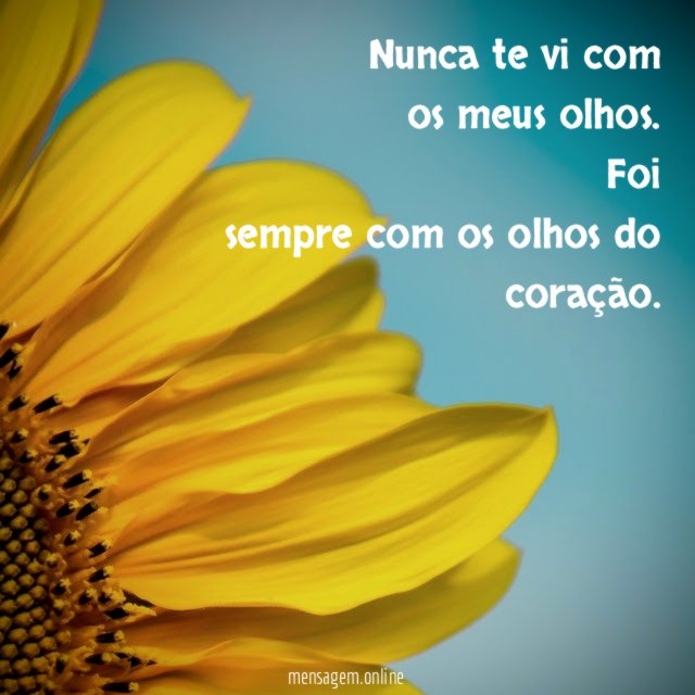 Nunca te vi com os meus olhos