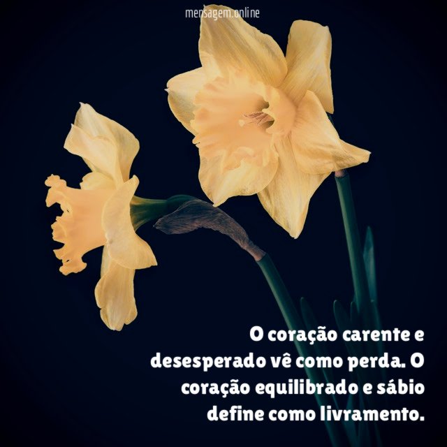 O coração carente e desesperado vê como perda