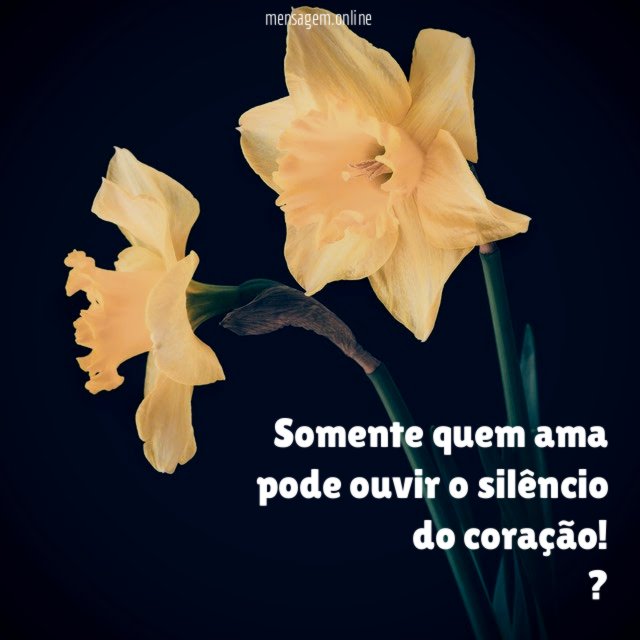 Somente quem ama pode ouvir o silêncio do coração
