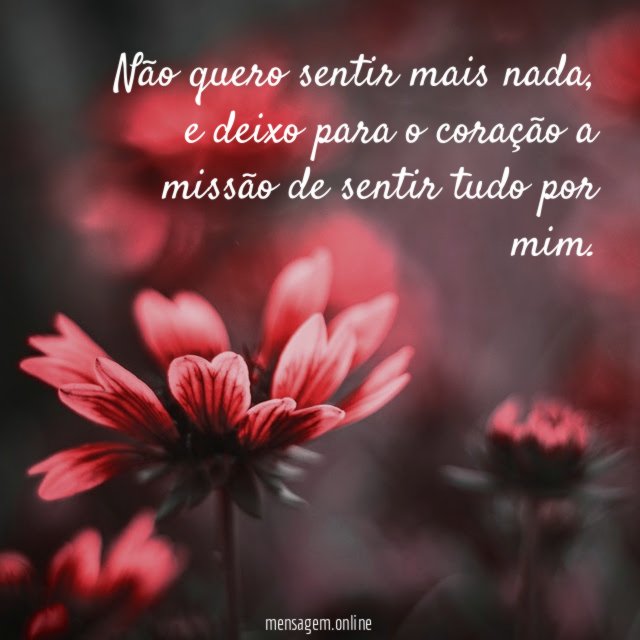 Não quero sentir mais nada