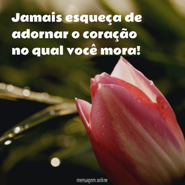 Jamais esqueça de adornar o coração no qual você mora