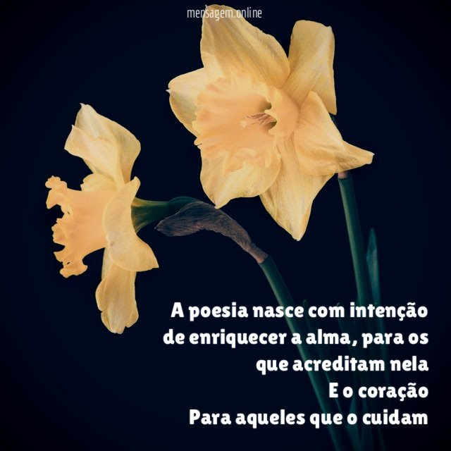 A poesia nasce com intenção de enriquecer a alma