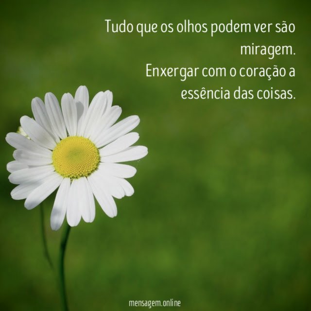 Tudo que os olhos podem ver são miragem