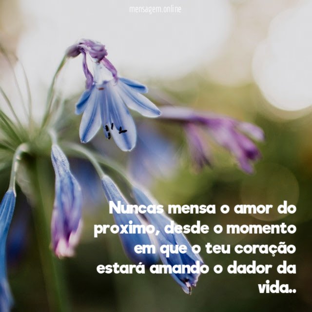 Nuncas mensa o amor do proximo