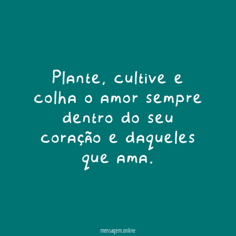 Plante