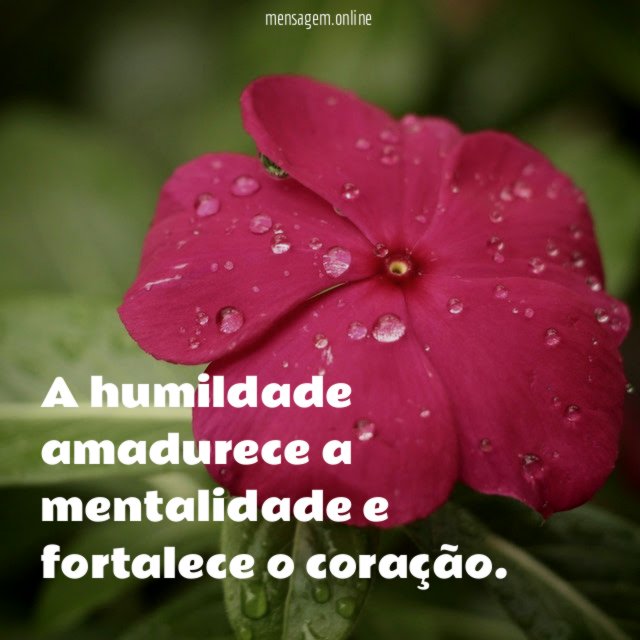 A humildade amadurece a mentalidade e fortalece o coração