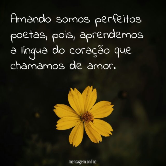 Amando somos perfeitos poetas