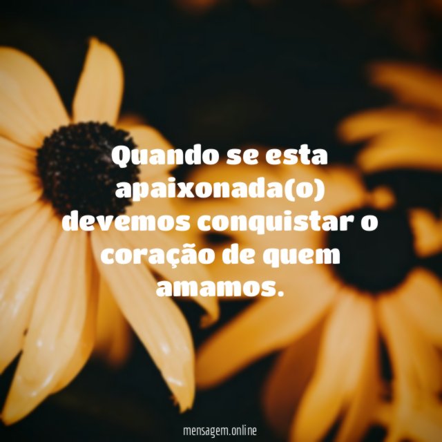 Quando se esta apaixonada(o) devemos conquistar o coração