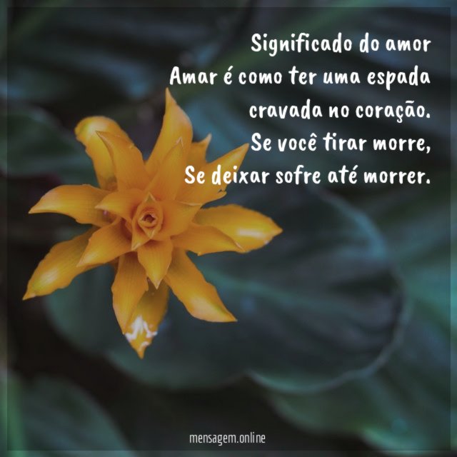 Significado do amor