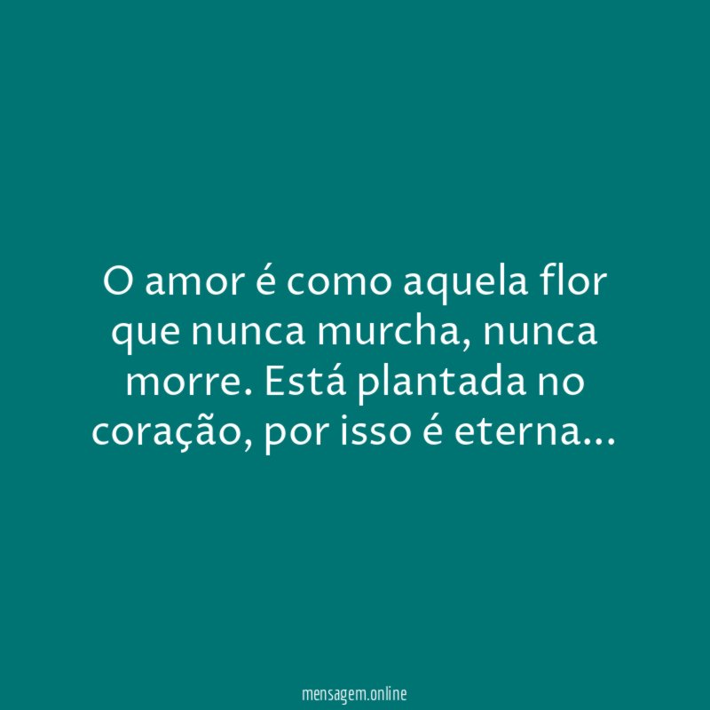 O amor é como aquela flor que nunca murcha