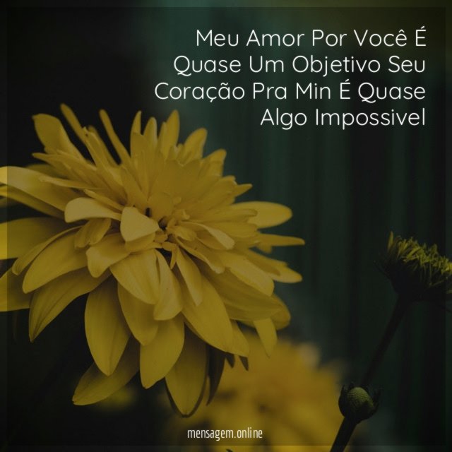 Meu Amor Por Você É Quase Um Objetivo