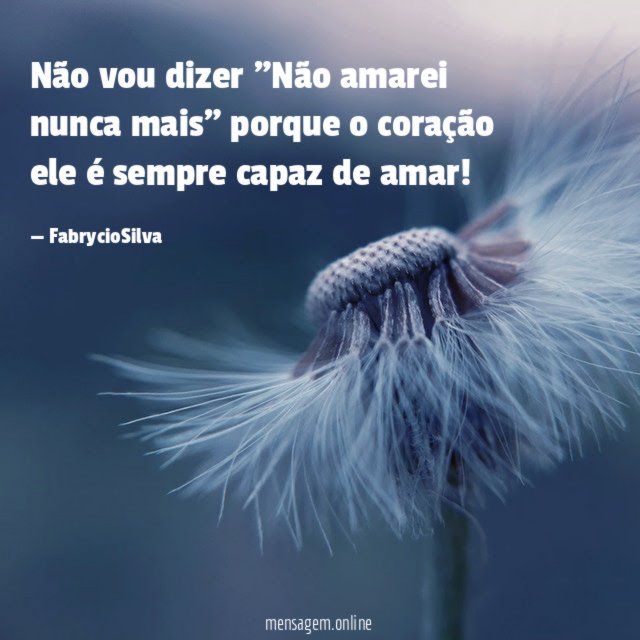 Não vou dizer "Não amarei nunca mais" porque