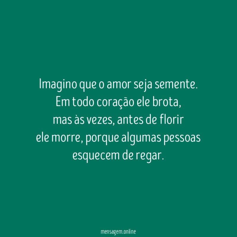 Imagino que o amor seja semente