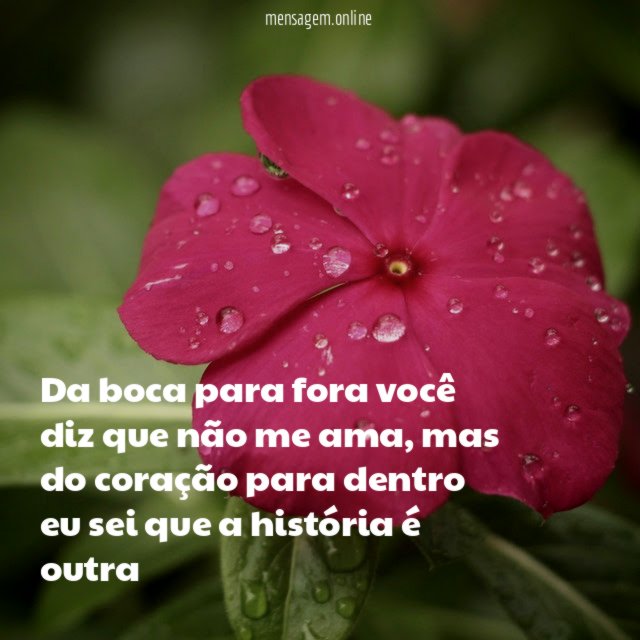 Da boca para fora você diz que não me ama