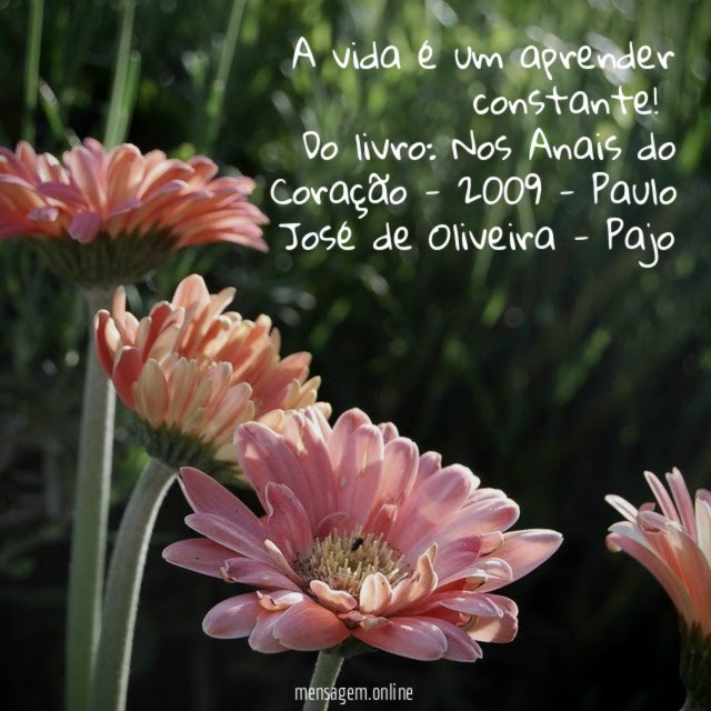 A vida é um aprender constante