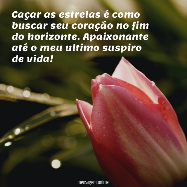 Caçar as estrelas é como buscar seu coração